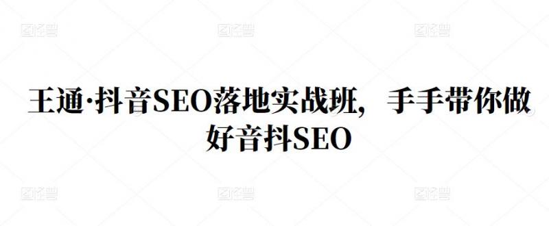 王通·抖音SEO落地实战班,手手带你做好音抖SEO-淘金日记