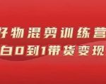 万三好物混剪训练营：小白0到1带货变现课-淘金日记