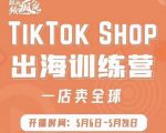 疯人院:TikTok Shop出海训练营(一店卖全球),出海抢占全球新流量-淘金日记