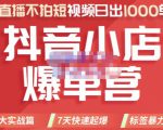 推易电商·2022年抖音小店爆单营,不直播、不拍短视频、日出1000单,暴力玩法-淘金日记