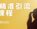 soul精准引流系列课程,每天引流100精准粉-淘金日记