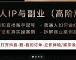 一舟一课个人IP与副业(高阶版),短视频和直播新手起号-普通人如何做好个人IP-淘金日记