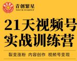 张萌21天视频号实战训练营,裂变涨粉、内容创作、视频号变现 价值298元-淘金日记