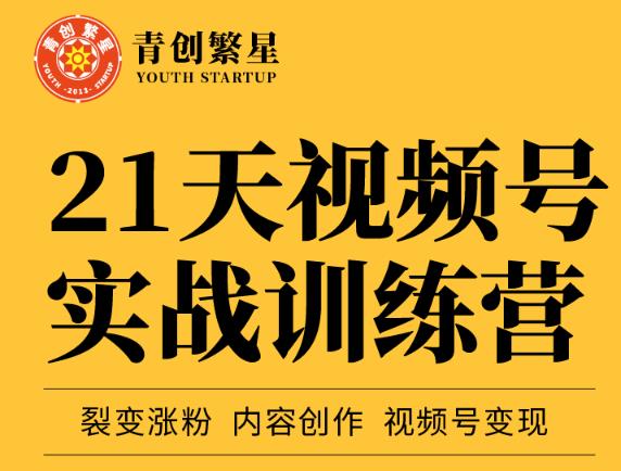 张萌21天视频号实战训练营,裂变涨粉、内容创作、视频号变现 价值298元-淘金日记
