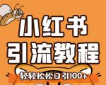 小红书运营引流全系列课程，每天引流100精准粉-淘金日记