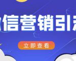 微信营销策划引流系列课程，每天引流100精准粉-淘金日记