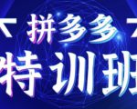 星雪教育·拼多多基础班+进阶班+突破班，用系统的学习模式快速改变现状价值3580元-淘金日记