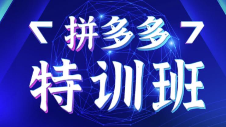 星雪教育·拼多多基础班+进阶班+突破班,用系统的学习模式快速改变现状价值3580元-淘金日记