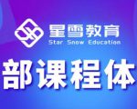星雪教育淘系高级班,更全的运营提升方案,零基础由浅入深,店铺最新玩法-淘金日记
