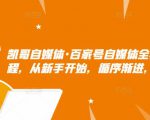 凯哥自媒体·百家号自媒体全套实战赚钱教程,从新手开始,循序渐进,系统的讲解-淘金日记