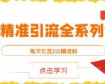 闲鱼精准引流全系列课程,每天引流100精准粉【视频课程】-淘金日记