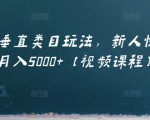 虚拟项目垂直类目玩法,新人快速起店,月入5000+【视频课程】-淘金日记
