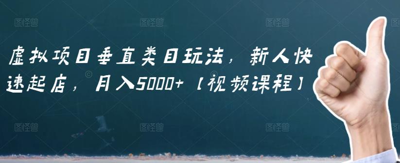 虚拟项目垂直类目玩法，新人快速起店，月入5000+【视频课程】-淘金日记