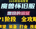 最新美服-怀旧服魔兽搬砖攻略,练级声望装备打金副本技能赚钱攻略-淘金日记