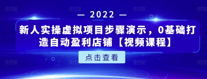 新人实操虚拟项目步骤演示,0基础打造自动盈利店铺【视频课程】-淘金日记