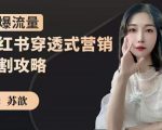 苏歆:小红书穿透式营销收割攻略,引爆流量,助你玩转小红书-淘金日记