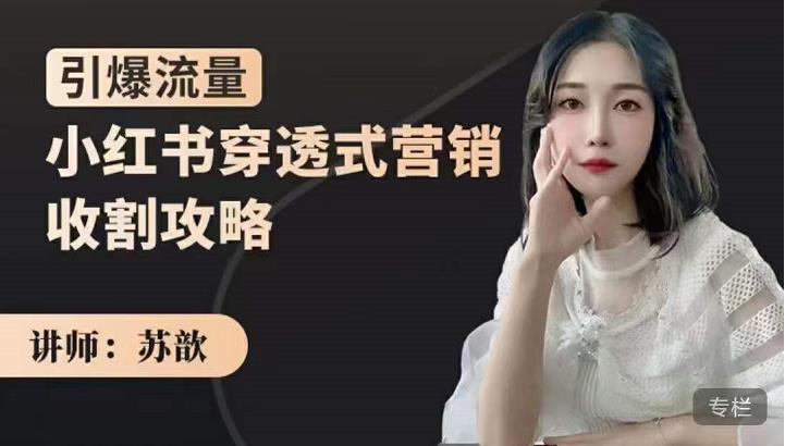 苏歆:小红书穿透式营销收割攻略,引爆流量,助你玩转小红书-淘金日记