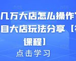 月入几万大店怎么操作?虚拟项目大店玩法分享【视频课程】-淘金日记