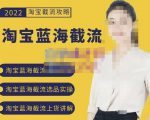 2022淘宝蓝海截流攻略,淘宝蓝海截流选品上货实操讲解-淘金日记