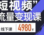参哥·短视频流量变现课,学成即可上路,抓住时代的红利-淘金日记