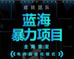 引流哥蓝海暴力躺赚项目：无需发圈无需引流无需售后，每单赚50-500（教程+线报群)-淘金日记