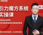 阿呆-引力魔方系统实操课，全体系实战教学，助你快速掌握推荐流量底层逻辑-淘金日记