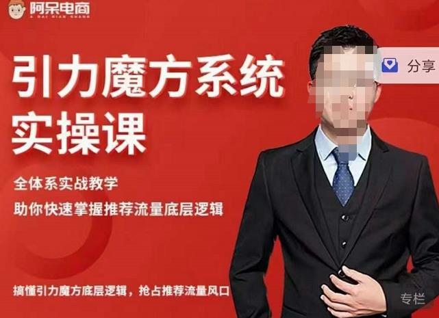 阿呆-引力魔方系统实操课，全体系实战教学，助你快速掌握推荐流量底层逻辑-淘金日记