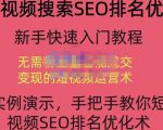 宋老师·短视频搜索SEO优化,教你10分钟创作一个短视频,三天排名上第一-淘金日记