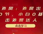 业仔外贸:外贸出口详解30节,小白0基础进击外贸达人 价值666元-淘金日记