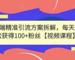 高端精准引流方案拆解,每天轻松获得100+粉丝【视频课程】-淘金日记