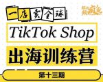 TikTokShop出海训练营(第十三期),打开全球流量新思维,出海抢占全球新流量,一店卖全球-淘金日记