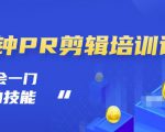 抖音视频一分钟PR剪辑培训:学会一门赚钱的技能,每节课短小精悍-淘金日记