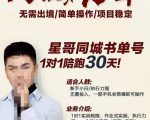 星哥同城教育书单号课程,无需出境简单操作项目稳定-淘金日记