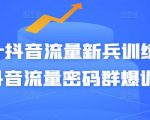 Peter抖音流量新兵训练营-破解抖音流量密码群爆训练营(新兵)-淘金日记