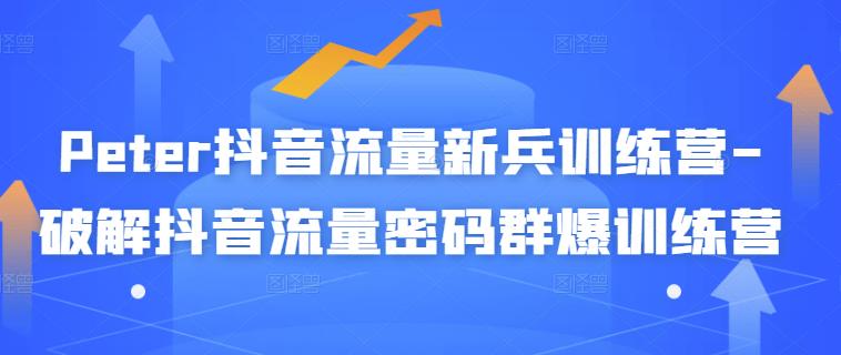 Peter抖音流量新兵训练营-破解抖音流量密码群爆训练营(新兵)-淘金日记