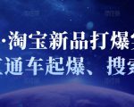凌童·淘宝新品打爆实战班,直通车起爆、搜索起爆-淘金日记