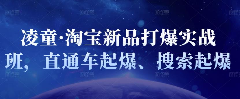 凌童·淘宝新品打爆实战班,直通车起爆、搜索起爆-淘金日记