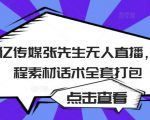 聚亿传媒张先生无人直播,教程素材话术全套打包-淘金日记