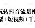 2022玩转抖音流量密码,(直播+短视频+千川)-淘金日记