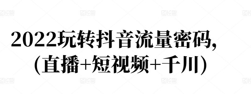 2022玩转抖音流量密码,(直播+短视频+千川)-淘金日记