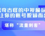 不讲李·稀奇古怪的冷门中视频冷门玩法,让你的账号脱颖而出,成为流量刺客!(图文+视频)-淘金日记