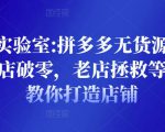 野路子实验室:拼多多无货源店群项目,新店破零,老店拯救等全方位教你打造店铺-淘金日记