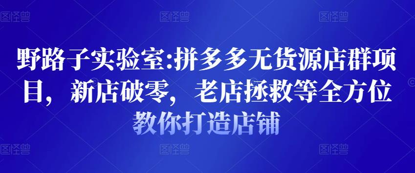 野路子实验室:拼多多无货源店群项目,新店破零,老店拯救等全方位教你打造店铺-淘金日记