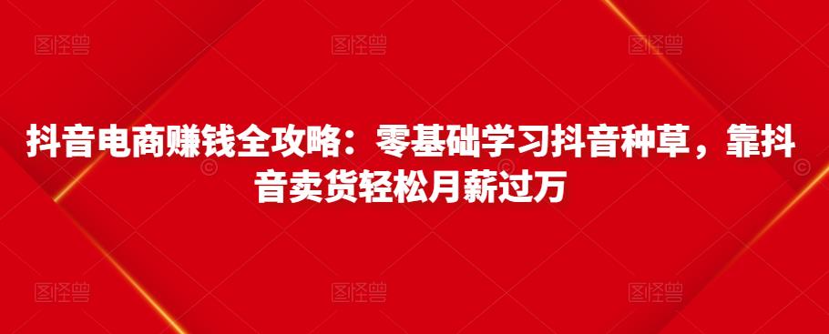 抖音电商赚钱全攻略：零基础学习抖音种草，靠抖音卖货轻松月薪过万-淘金日记