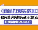 凌童《新品打爆实战班》,一套完整的实操实战落地方法,打爆链接超2000+(28节课)-淘金日记