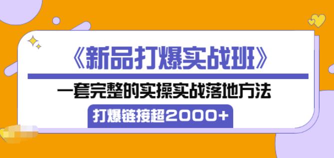 凌童《新品打爆实战班》,一套完整的实操实战落地方法，打爆链接超2000+（28节课)-淘金日记