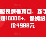 猎人联盟视频号项目,新手0基础轻松月赚10000+,保姆级教程原价4988元-淘金日记