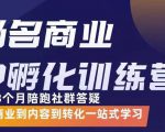 杨名商业IP孵化训练营,从商业到内容到转化一站式学 价值5980元-淘金日记