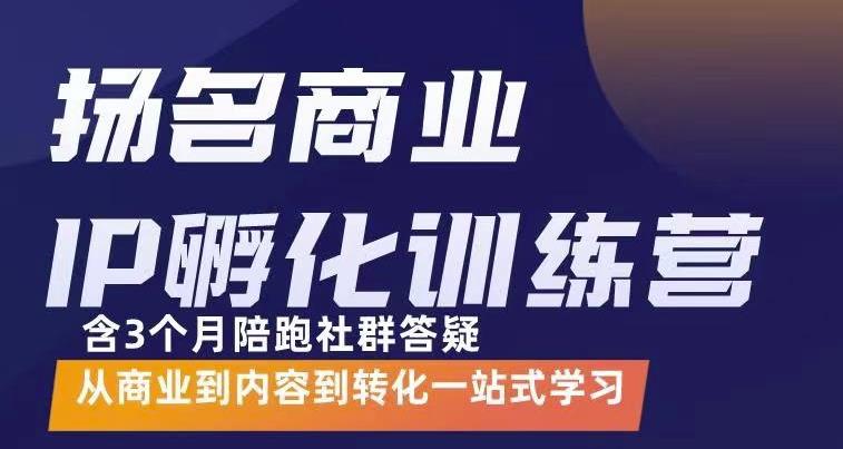 杨名商业IP孵化训练营，从商业到内容到转化一站式学 价值5980元-淘金日记