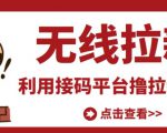 最新接码无限拉新项目,利用接码平台赚拉新平台差价,轻松日赚500+-淘金日记